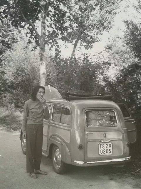N.77- auto del TLT